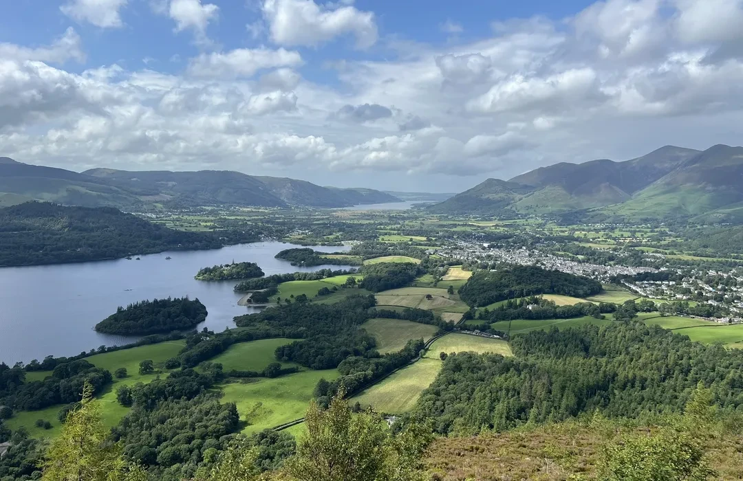 image_2025-11-01_004102798